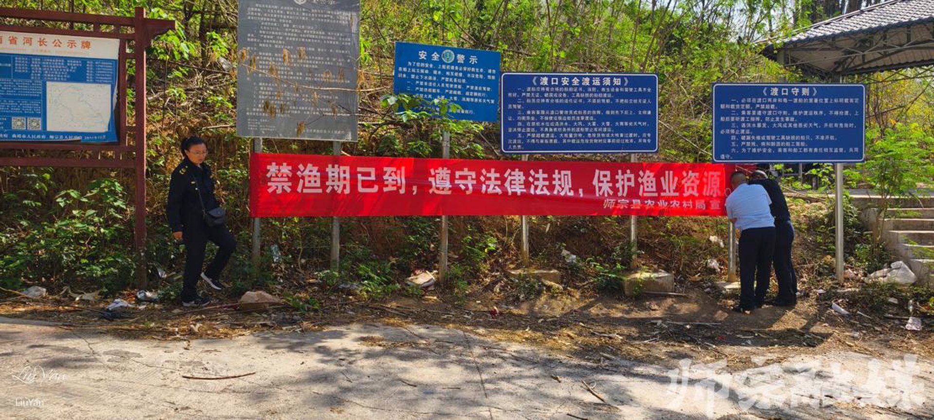 秋良苗木合作社